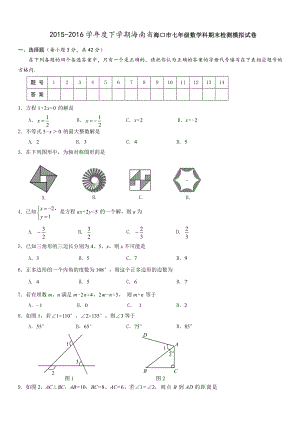 20152016学年度下学期海南省海口市七年级数学科期末检测模拟试卷.doc