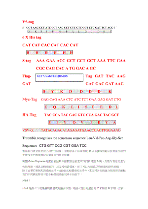 各种标签Tag的核苷酸与氨基酸序列.docx