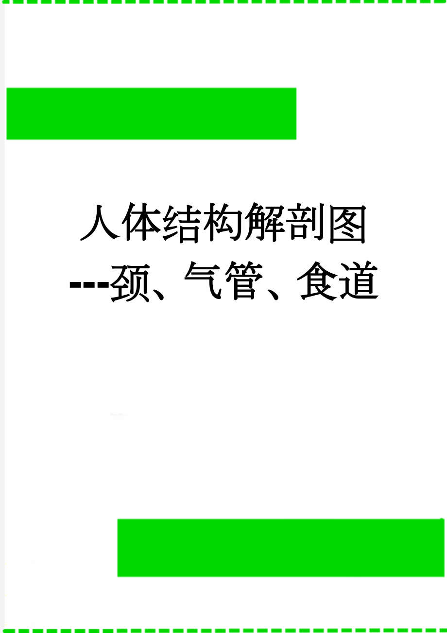 人体结构解剖图---颈、气管、食道(3页).doc_第1页