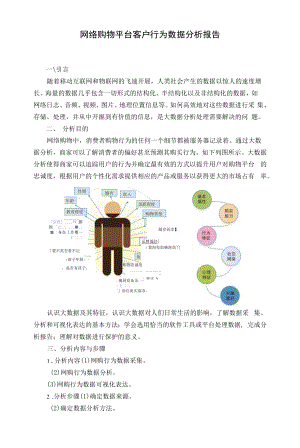 “网络购物平台客户行为数据分析和可视化表达”可视化报告.docx