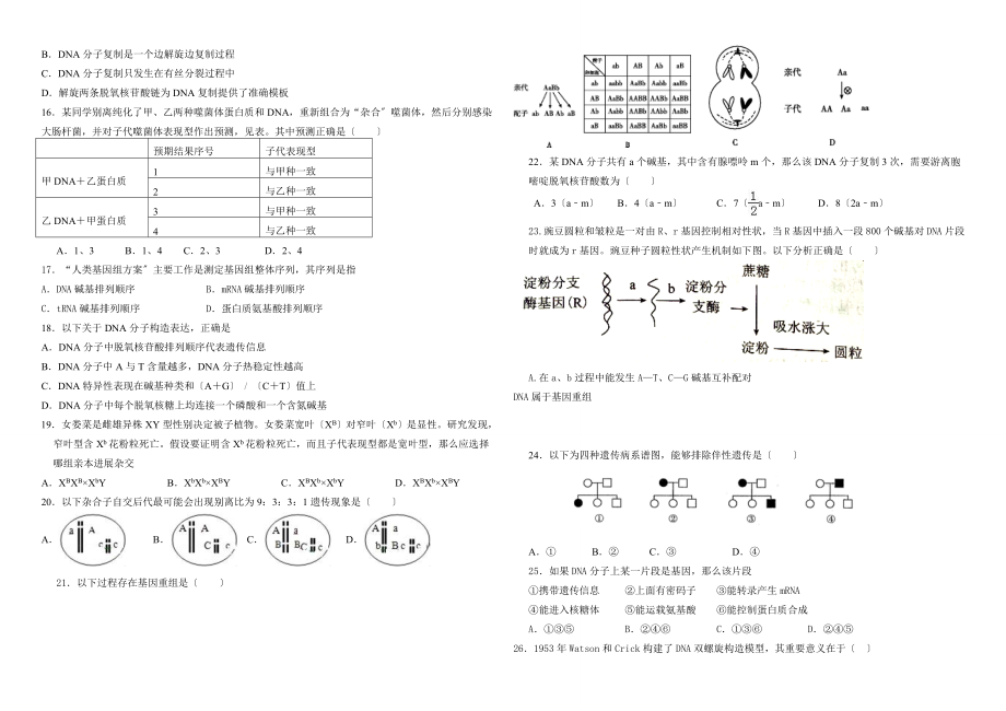 高中生物必修二期中试题.doc_第2页