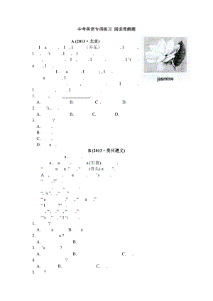 人教版英语中考专项练习阅读理解题.doc