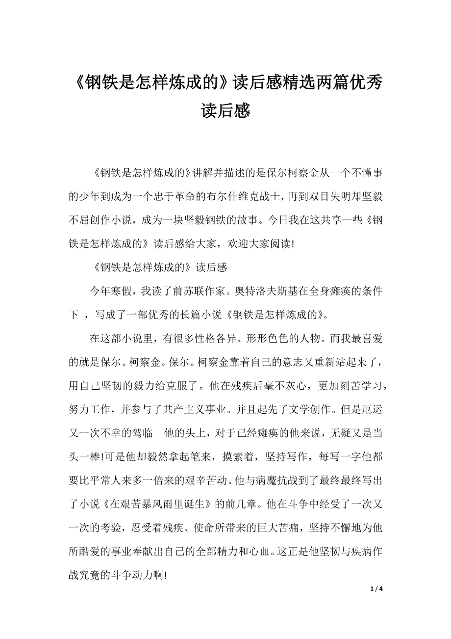 《钢铁是怎样炼成的》读后感精选两篇优秀读后感.docx_第1页