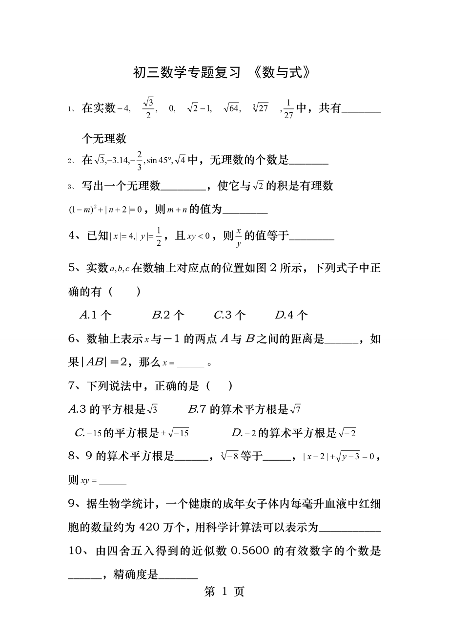 初三数学专题复习数与式.docx_第1页