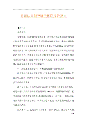 县司法局领导班子述职报告范文.docx