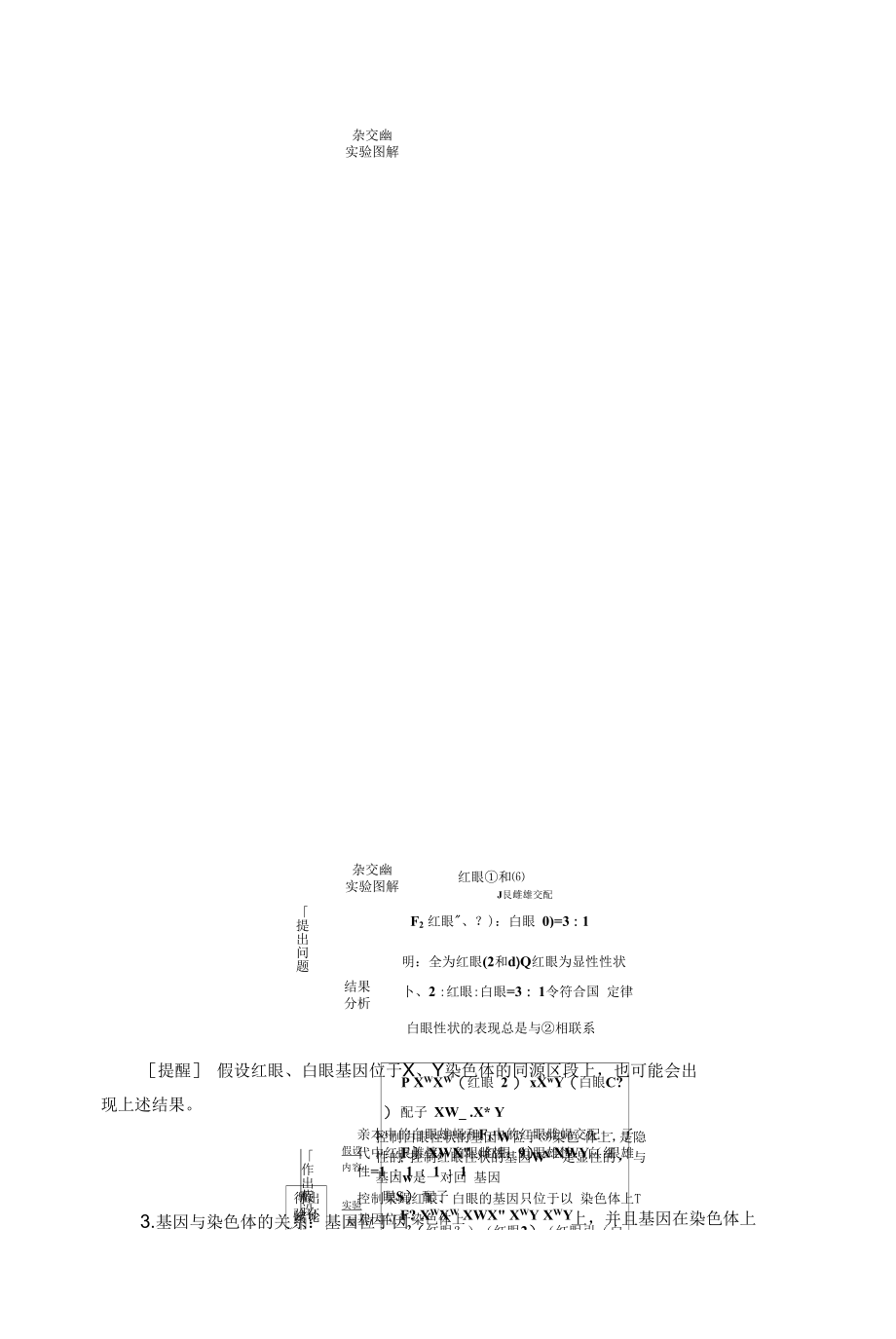 一轮复习 苏教版　基因位于染色体上及人类遗传病 学案.docx_第2页