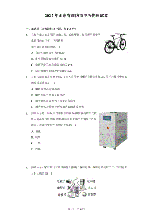 2022年山东省潍坊市中考物理试题与答案解析.docx