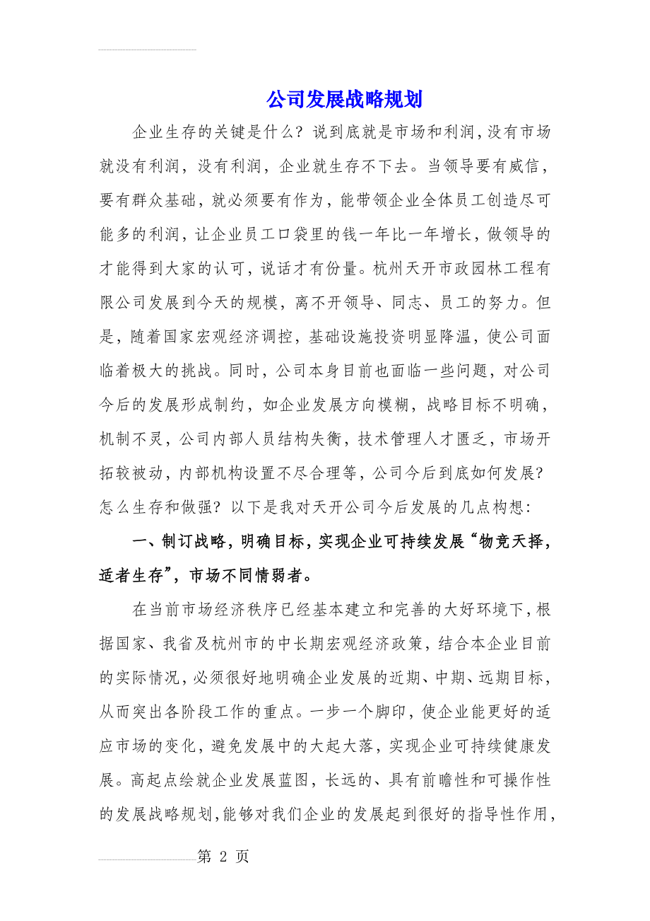 公司发展战略规划95978(9页).doc_第2页