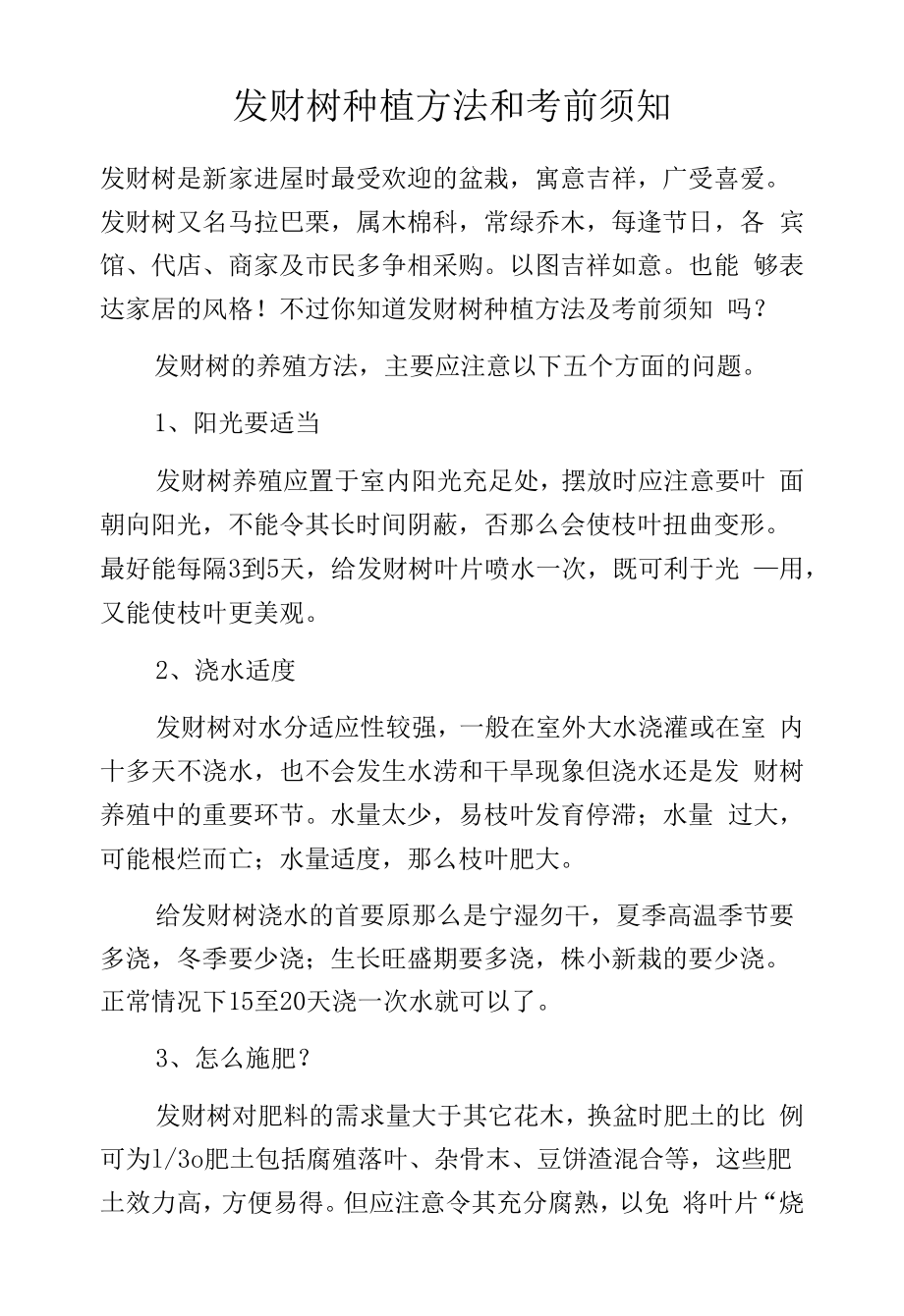 发财树种植方法和注意事项.docx_第1页