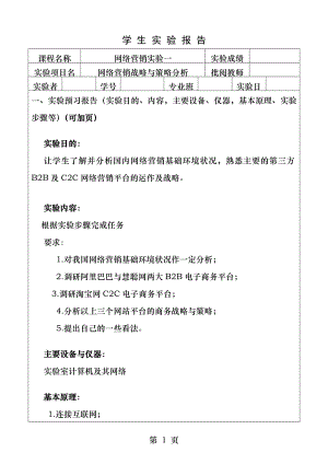 网络营销实验网络营销战略与策略分析.docx