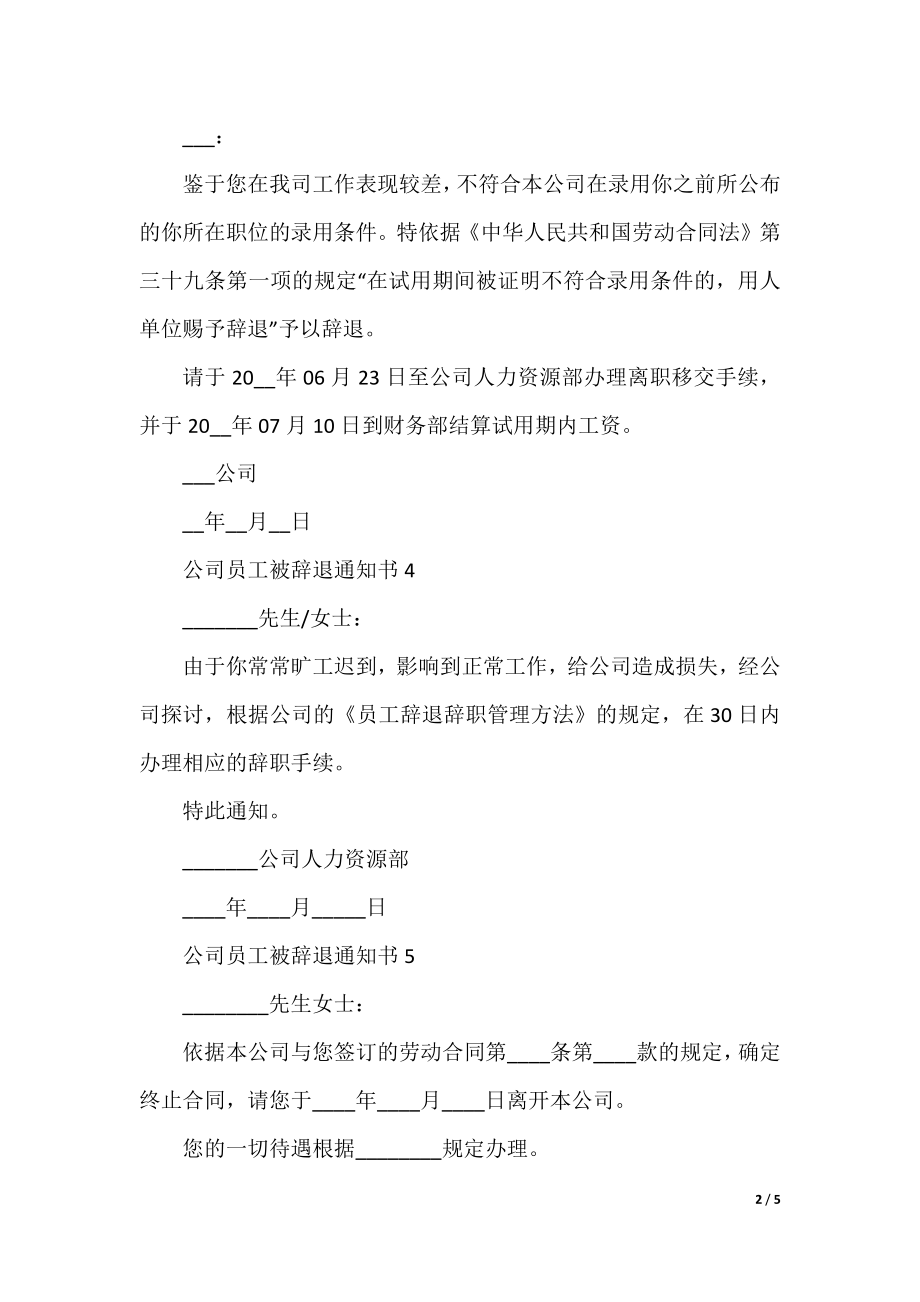 公司员工被辞退通知书.docx_第2页