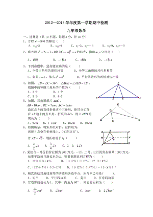 北师大版九年级上册期中数学测试题.doc