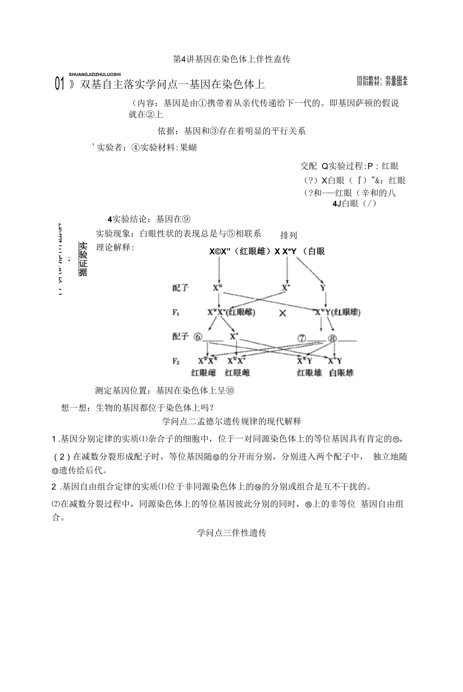 第4讲基因在染色体上伴性遗传.docx_第1页