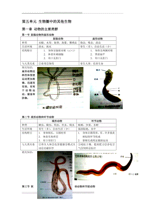 复习生物(9页).doc