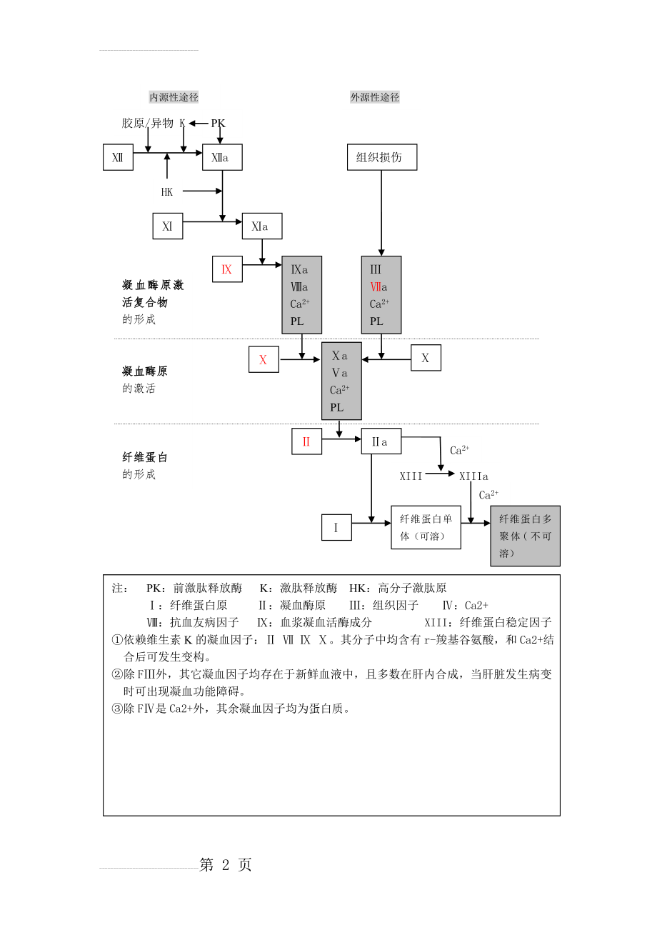 凝血过程示意图(2页).doc_第2页