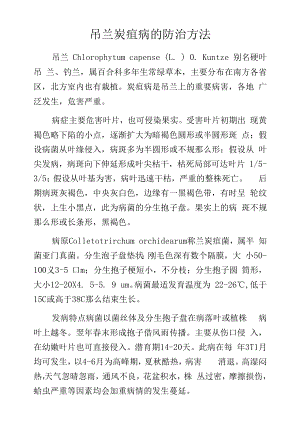 吊兰炭疽病的防治方法.docx