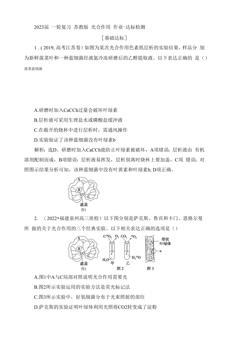 一轮复习 苏教版　光合作用 作业.docx_第1页