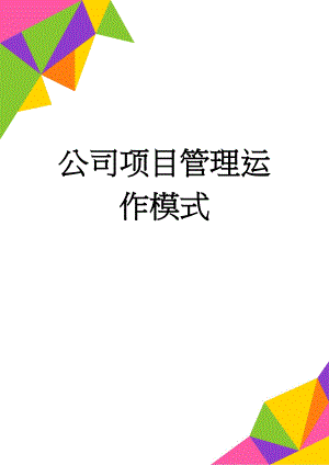 公司项目管理运作模式(3页).doc