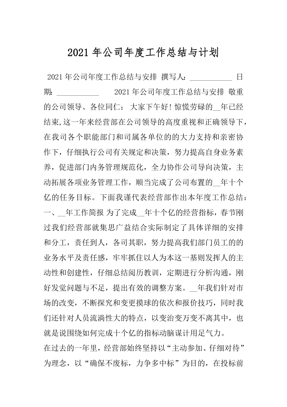 2021年公司年度工作总结与计划.docx_第1页