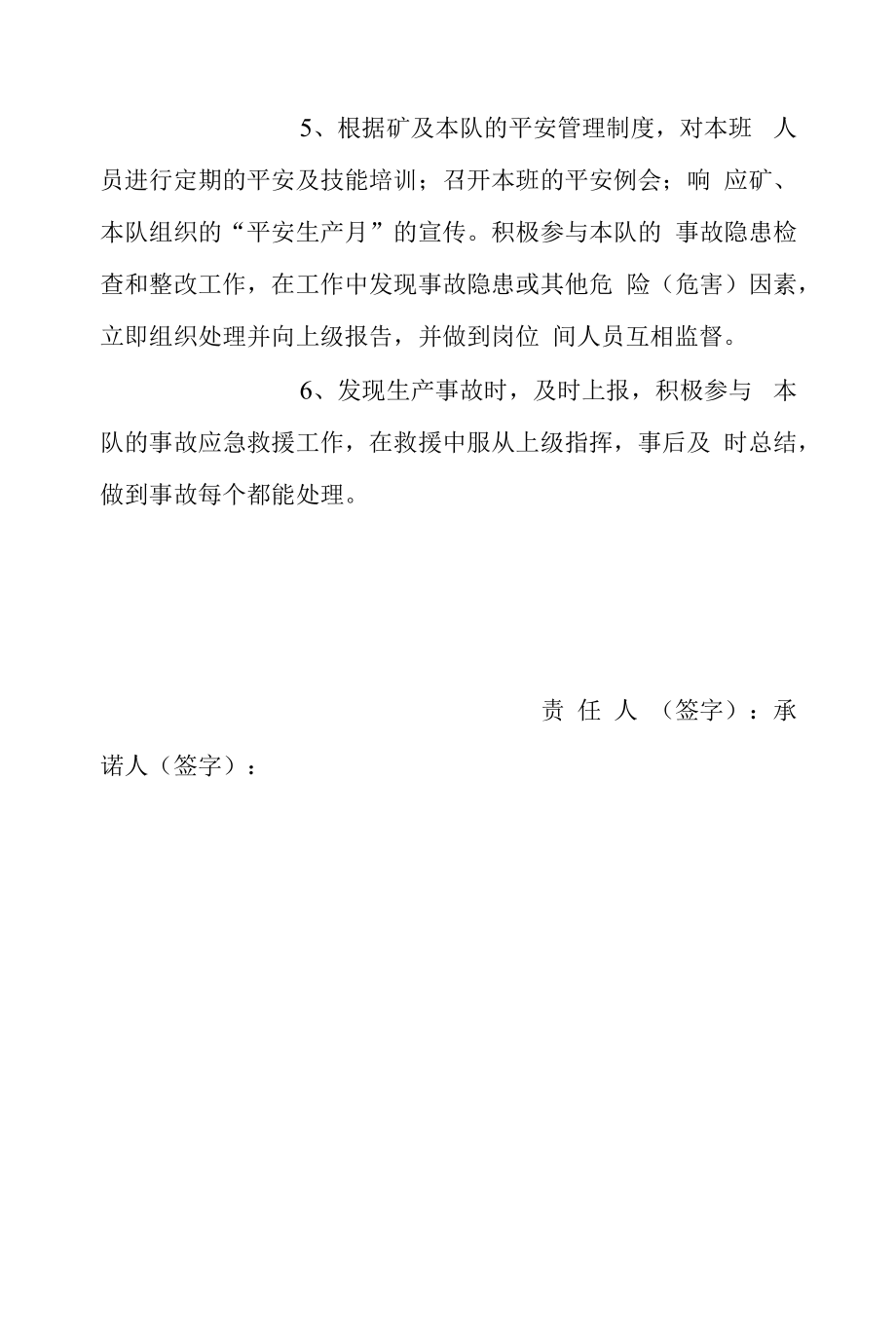 安全责任承诺书五篇.docx_第2页