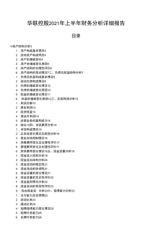 华联控股2021年上半年财务分析详细报告.docx