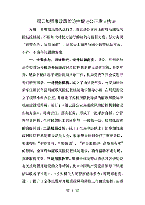 加强廉政风险防控促进公正廉洁执法.docx