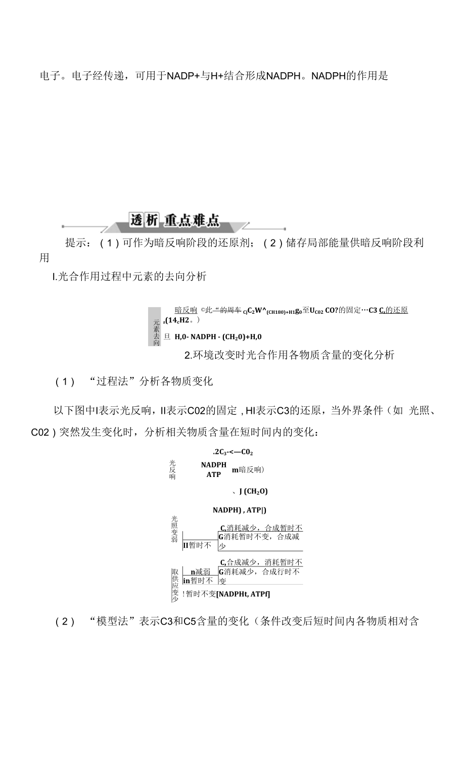 一轮复习 苏教版　光合作用 学案.docx_第2页