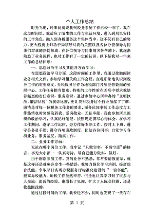 税务新人个人年度工作总结.docx