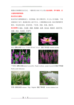 园林常见水生植物图片及简介(11页).doc