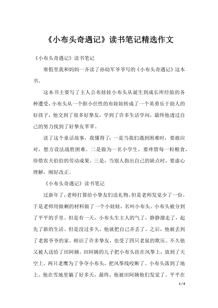 《小布头奇遇记》读书笔记精选作文.docx_第1页