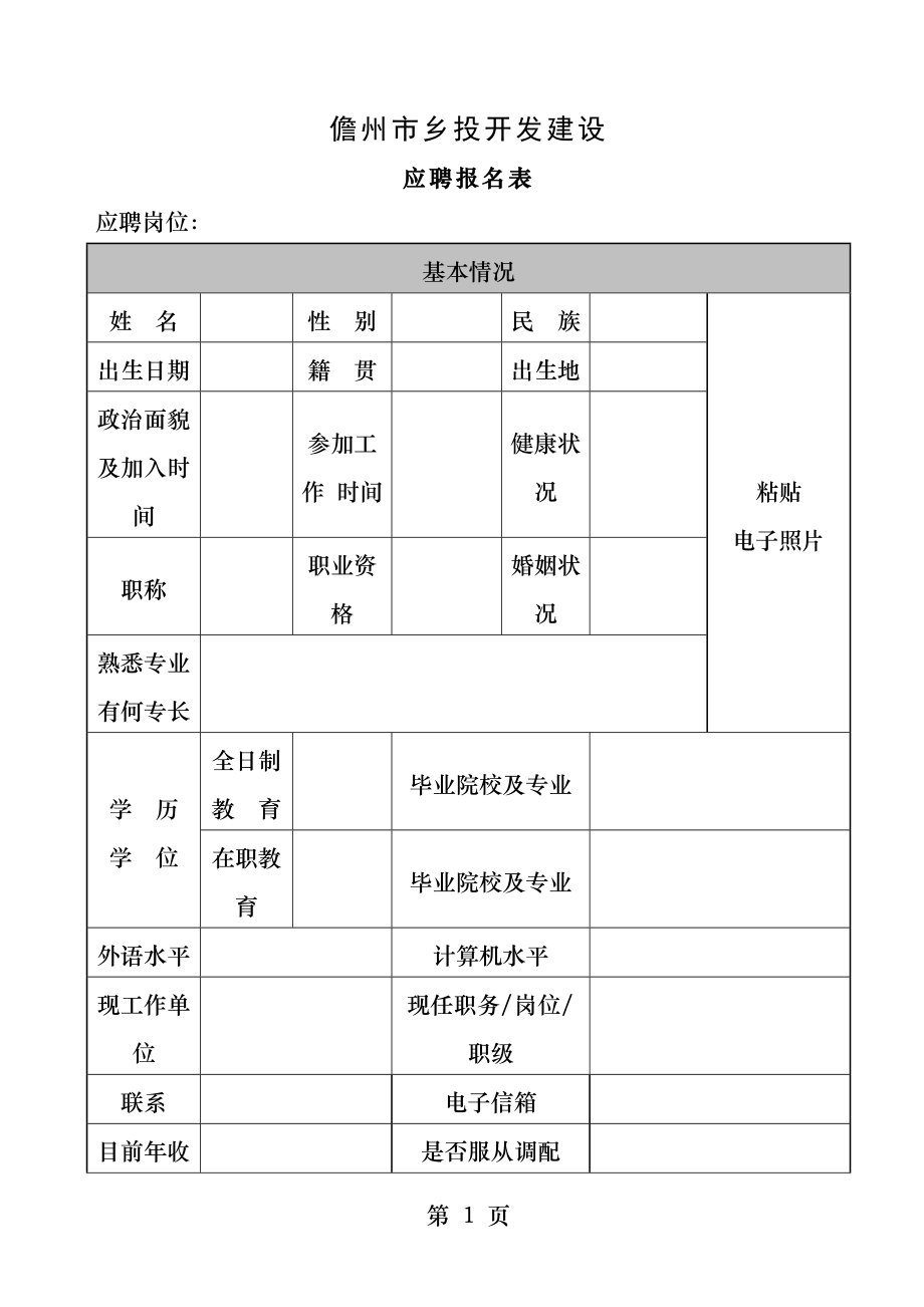 儋州乡投开发建设有限公司.docx_第1页