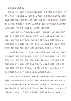 加强理论学习体会发言.docx