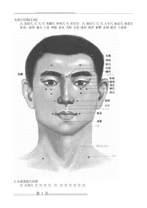 头部穴位图(8页).doc