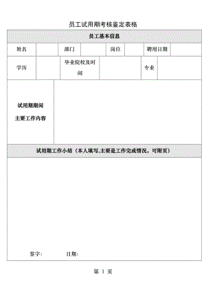 员工试用期考核鉴定表.docx