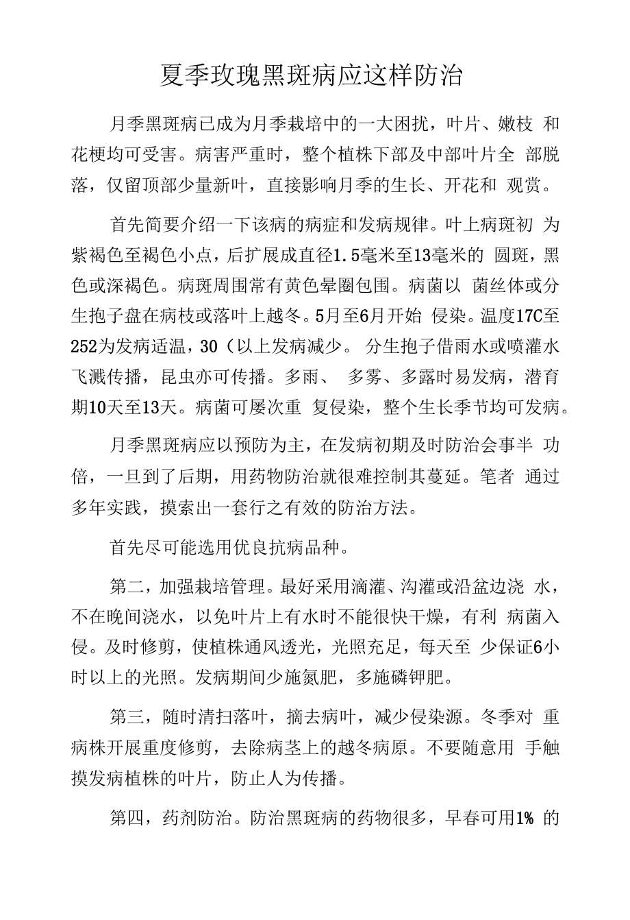 夏季玫瑰黑斑病应这样防治.docx_第1页