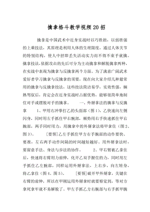 擒拿格斗教学视频20招.docx