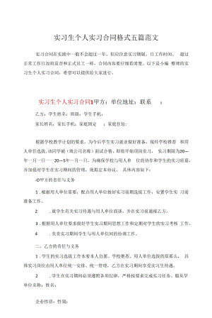 实习生个人实习合同格式五篇范文.docx