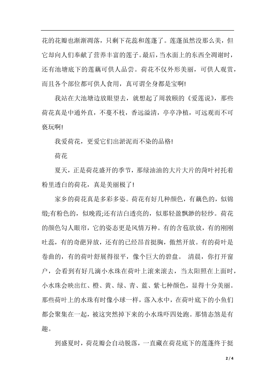 荷花的说明文作文500字.docx_第2页