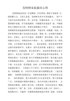 发财树家庭栽培心得.docx