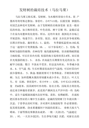 发财树的栽培技术(马拉马栗).docx