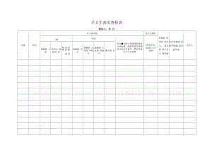 手卫生落实查检表.docx