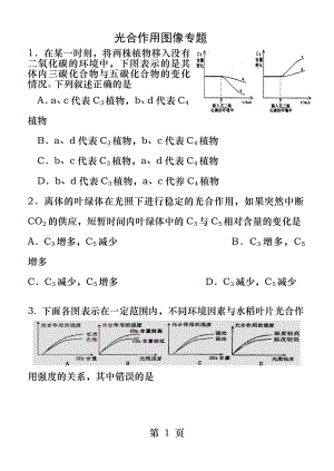 光合作用图像专题.docx