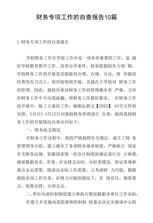 财务专项工作的自查报告10篇.docx