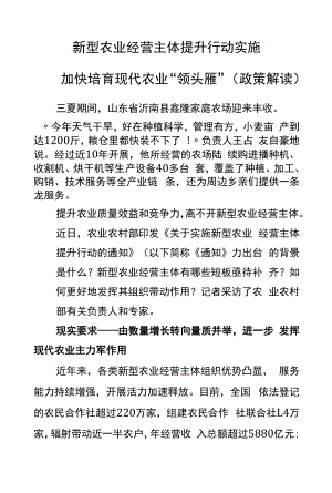 政策解读加快培育现代农业“领头雁”.docx