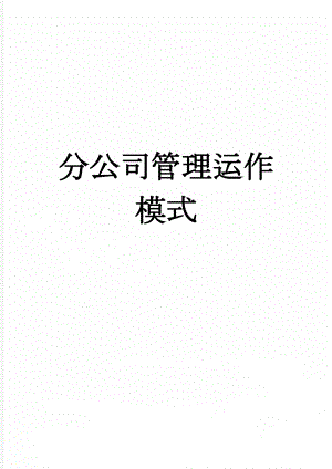 分公司管理运作模式(9页).doc