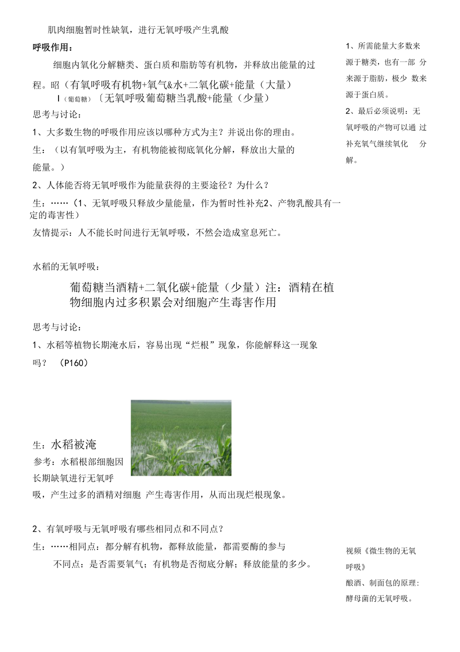 4.4 能量的获得公开课.docx_第2页