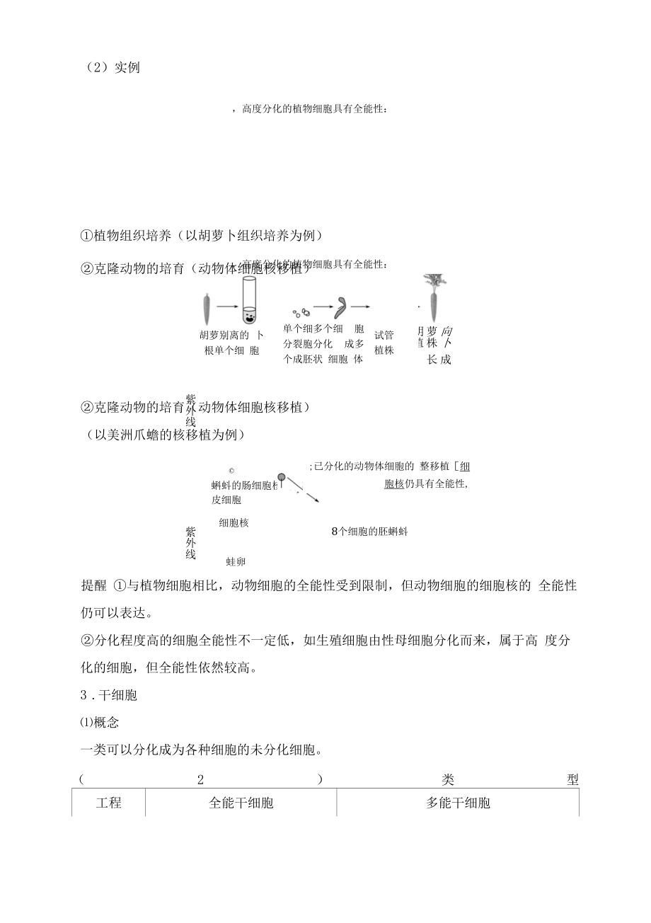 第12讲 细胞分化、衰老、凋亡与癌变公开课.docx_第2页