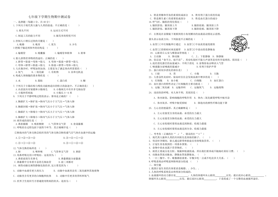 人教版七年级下册生物期中考试题.doc_第1页