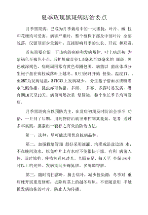 夏季玫瑰黑斑病防治要点.docx