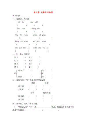 四年级语文下册5苹果里的五角星同步精练苏教版.doc